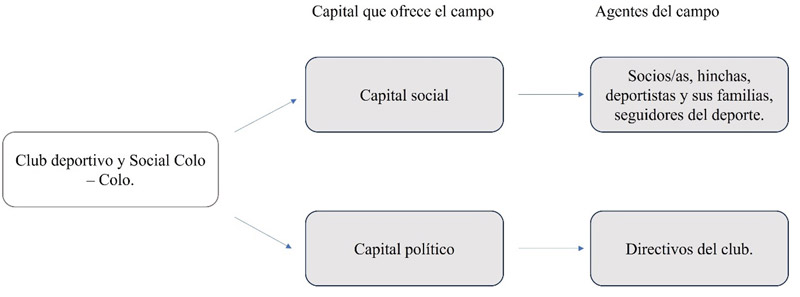 Diagrama

Descripción generada Capitales y agentes del campo social.